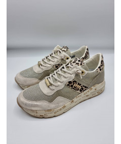 CETTI GALASSIA PLATINIUM